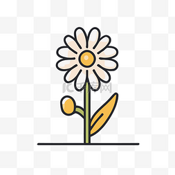 白色的雏菊图片_白色背景上的线图标中的雏菊植物