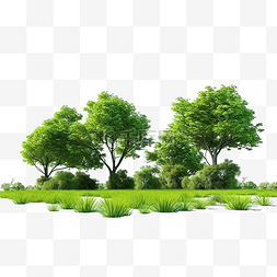 草地上 3d 渲染树的 3ds 渲染图像