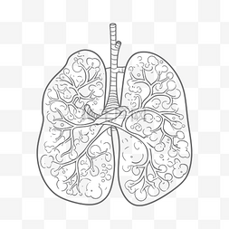 肺部气管图片_在此着色页中，肺和气管被画成一