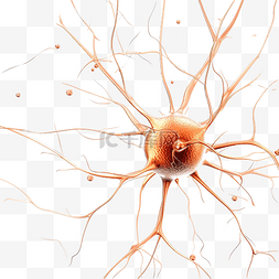 细胞抽象图片_神经细胞