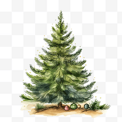 圣诞松树装饰插画水彩