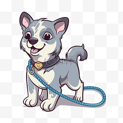 哈士奇小狗狗图片_白色背景上牵着皮带的灰色和蓝色