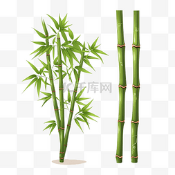 竹树图