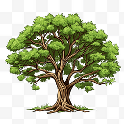 樹的插圖