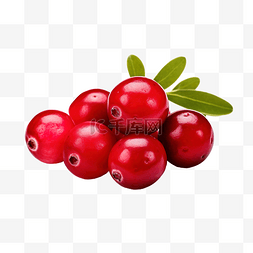 多种维生素与图片_新鲜蔓越莓或氧球菌蔓越莓富含维