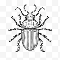 有趣线性图片_昆虫可爱甲虫线性涂鸦