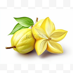 带叶的水果图片_白色背景中两个带叶和花的黄色水