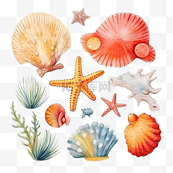 可爱海洋生物图片_水彩海洋生物