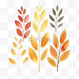 叶子橙黄色和红色简单绘图