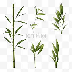 中国插图片_3d 插图竹子在自然中的设置
