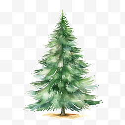 圣诞树水彩插图