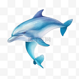 海豚插画 海洋生物 动物插画