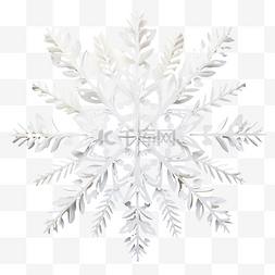 冰图片_圣诞组合物，雪花被剪成白色