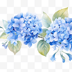 复古风格图片_水彩水平无缝背景与蓝色绣球花