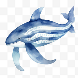 水彩鲸鱼条纹无缝图案