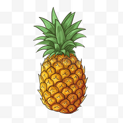 新鲜的菠萝水果图片_菠萝的涂鸦插图