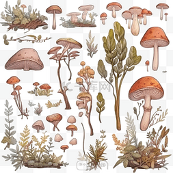 白色背景上的植物蘑菇和动物植物