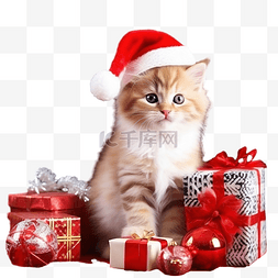 好奇图片_小猫与圣诞装饰品隔离在白色
