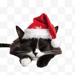 有趣的黑白猫，带着红色圣诞角睡
