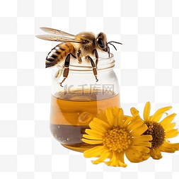 波里雪球图片_罐子里的蜜蜂