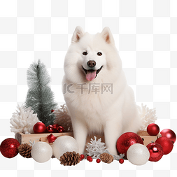 圣诞装饰品素材图片_圣诞装饰品中的萨摩耶哈士奇狗很