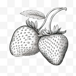 草莓素描线