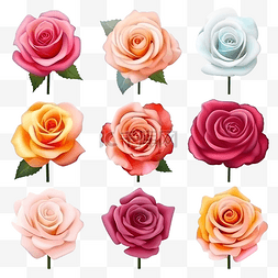 玫瑰花和花瓶图片_玫瑰花逼真，具有不同的颜色和形