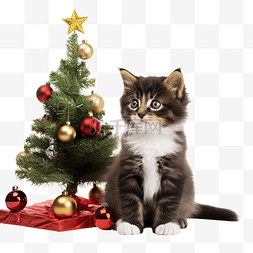 一只可爱的小猫坐在圣诞树附近低
