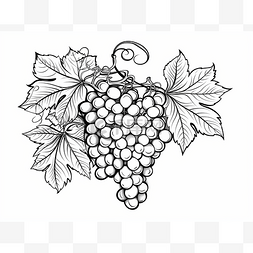 黑色和白色葡萄叶和浆果矢量图