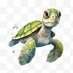 水彩可爱的乌龟
