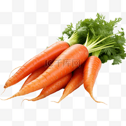 多汁成熟的胡萝卜