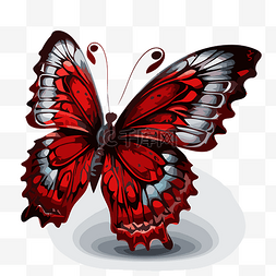红蝴蝶 向量