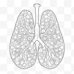 肺解剖绘图免费矢量图像