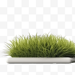 3D 渲染绿色野草场的模型图像