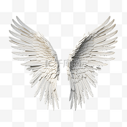 天使的翅膀孤立 3d 渲染