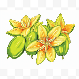 黄色水果和绿色豆荚的插图