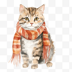 戴着帽子的猫图片_一只戴着围巾的猫的水彩插图