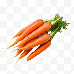 目的图图片_橙色胡萝卜是一种富含维生素的水