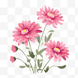 粉红色的花朵 向量