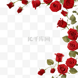 紫色框架图片_美丽多彩的红玫瑰花框
