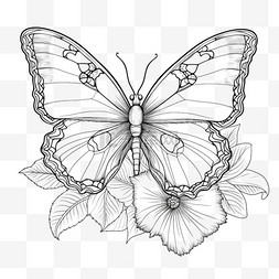 写实线条蝴蝶元素立体免抠图案