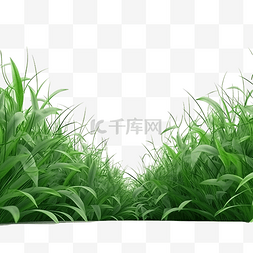 绿色野草叶子图片_3D 渲染绿色野草场的模型图像