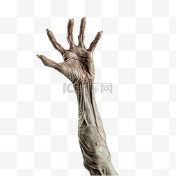 僵尸或活死人现实的手