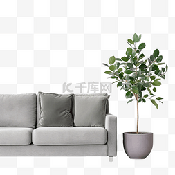 室内家具图片_带枕头和花盆的现代灰色沙发