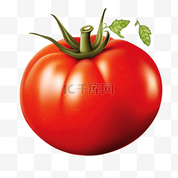 可爱蔬菜水果图片_紅番茄插畫