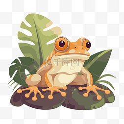 coqui 剪贴画卡通树蛙坐在被树叶包
