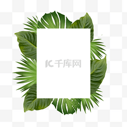 彩色方形剪纸图片_夏季边框热带树叶方形植物几何