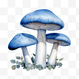 迷幻水彩图片_蓝色三重蘑菇插画