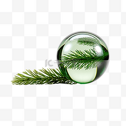 圣诞绿草图片_杜松绿枝，镜面上有一个小旧圣诞