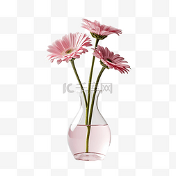 景观菊花图片_花瓶裡的花